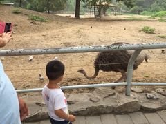 -辛玛王国游乐园