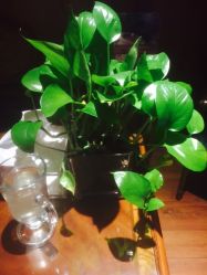 -TIME SPA科技美肤机构