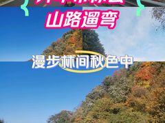 -秦岭风景区