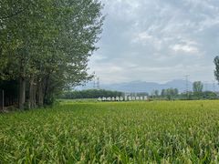 -林间山庄