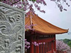 -南沙天后宫景区