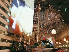 -桂满陇·海市蜃楼·黑金(国金店)