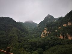 -大岭沟猕猴桃谷风景区