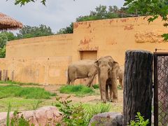 -沈阳森林动物园