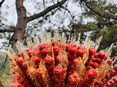 -普陀宗乘之庙(小布达拉宫)