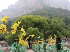 -云台山风景名胜区