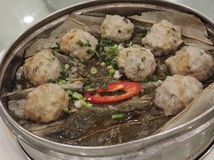 莲藕丸子-姚林轩