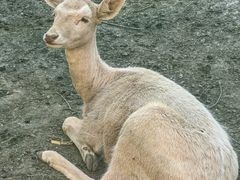 -水上乐园·欢乐世界