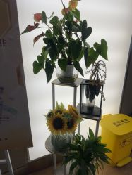 -杭州海亮医院 · 禾芸嘉医美中心