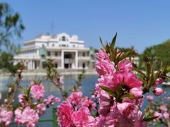 -朝阳公园