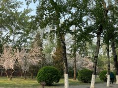 -东方之珠洗浴休闲广场(和平店)