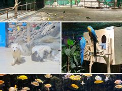 -海合安天津极地海洋公园