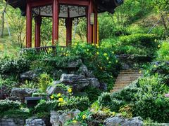 -白石龙音乐公园
