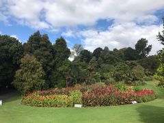 -墨尔本皇家植物园