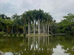 -中国科学院西双版纳热带植物园