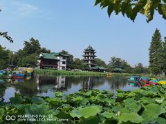 -桂湖森林公园
