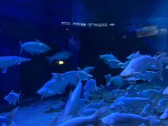 -成都浩海立方海洋公园