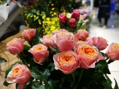 -谷莠子花艺气球派对·绿植造景·花艺沙龙(东海缤纷天地店)