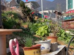 -鱼乐岛餐厅·户外花园主题餐厅