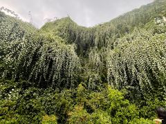 -府河摄影公园
