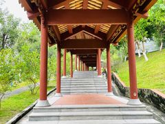 -广州神农草堂中医药博物馆