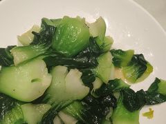 -佬肥猫(七宝宝龙店)