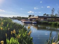 -呈贡滇池生态湿地公园