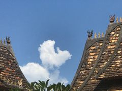 -西双版纳傣族园