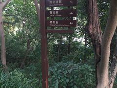 -杭州黄龙洞