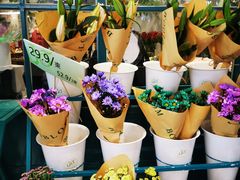 -BOBLOOM花店(宝龙旭辉广场店)