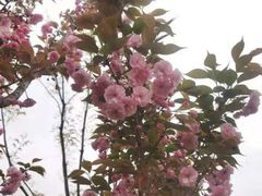 -府河摄影公园