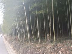 -苏州环秀晓筑养生度假村