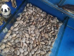 -老孟拉面海鲜餐厅