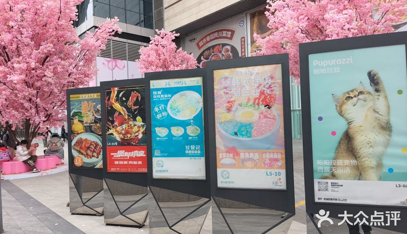 金牛区好吃的云南菜，品味生活，今天我在这儿。