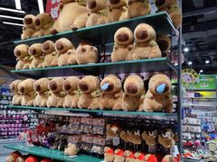 -TheGreenParty(槐房万达店)