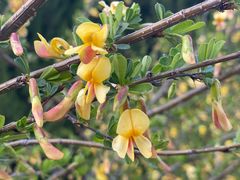 -象湖生态湿地公园