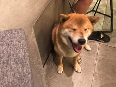 -BE NORMAL CAFE(霞溪路店)