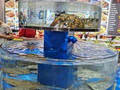 水产区-永红源·啤酒烧烤海鲜大排档(台柳路店)