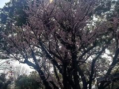 -无锡梅园公园