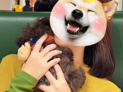 -阿莉餐厅(枣阳路店)