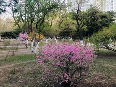 -辽宁大学(崇山校区)