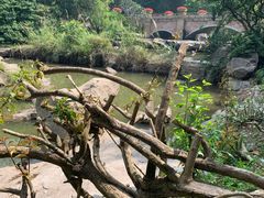 -云溪植物园