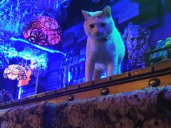 -星宿秘码(鼓浪屿老店)