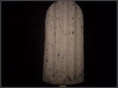 20100711【康乐】小豆冰棍2-康乐(滨江道店)