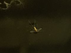 -牛玄庵日式寿喜烧·料理店(新源里店)