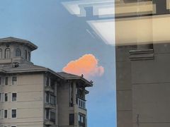 -0317火锅鸡·清真(正达店)