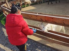 -HERRE·FARM 赫尔露营农场·团建聚会包场