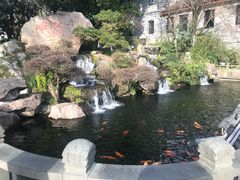 -江心屿景区
