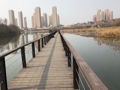-前关湿地公园