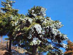 -泰山风景名胜区